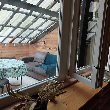 Julio Cesar Poligny Juraアパートメント 部屋 写真